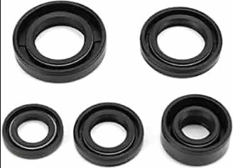 Engine Oil Seal | Engine Seal – Engine Oil Seal for Automotive/Industrial Engines, High Temp and Oil Resistance, Leak Proof Performance, Long Life Quality
